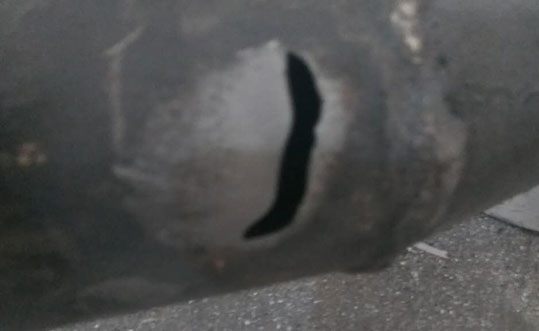 普通草莓操逼视频